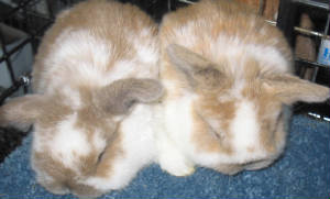 110_1010.jpg